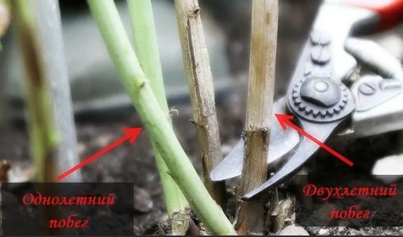 Фотографія: Спальня в стилі Сучасний, Поради, Дім і дача – фото на нашому сайті