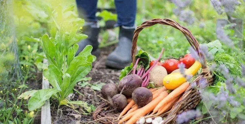 Фотографія: Прихожа в стилі Сучасний, Поради, Дім і дача – фото на нашому сайті