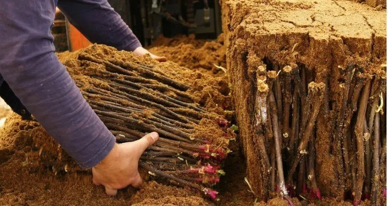 Photo : Salon moderne, Conseils, Maison et jardin – photo sur notre site