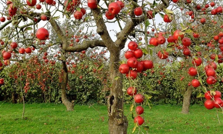 Фотографія: Кухня і столова в стилі Сучасний, Поради, Дім і дача – фото на нашому сайті