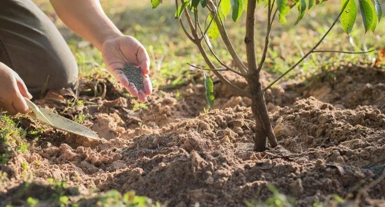 Фотографія: Спальня в стилі Сучасний, Поради, Дім і дача – фото на нашому сайті