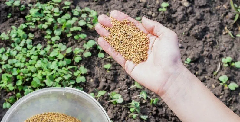 Фотографія: Кухня і столова в стилі Сучасний, Поради, Дім і дача – фото на нашому сайті