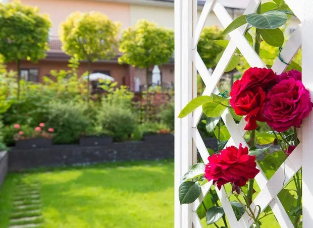 Conception : centre écologique « ÉCOPASSEAU-LD »