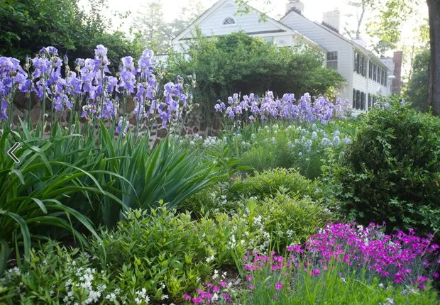 Conception : Susan Gohan