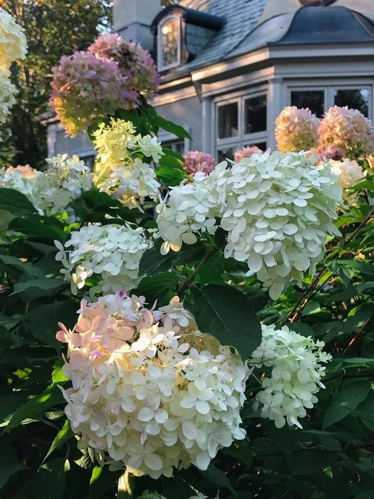 Photo: Landscape, Floristry, Guide – Photo on Our Site