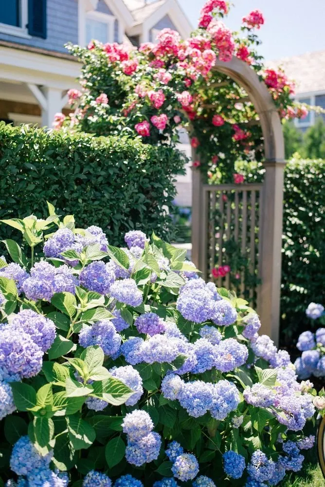 Photo: Landscape, Floristry, Guide – Photo on Our Site