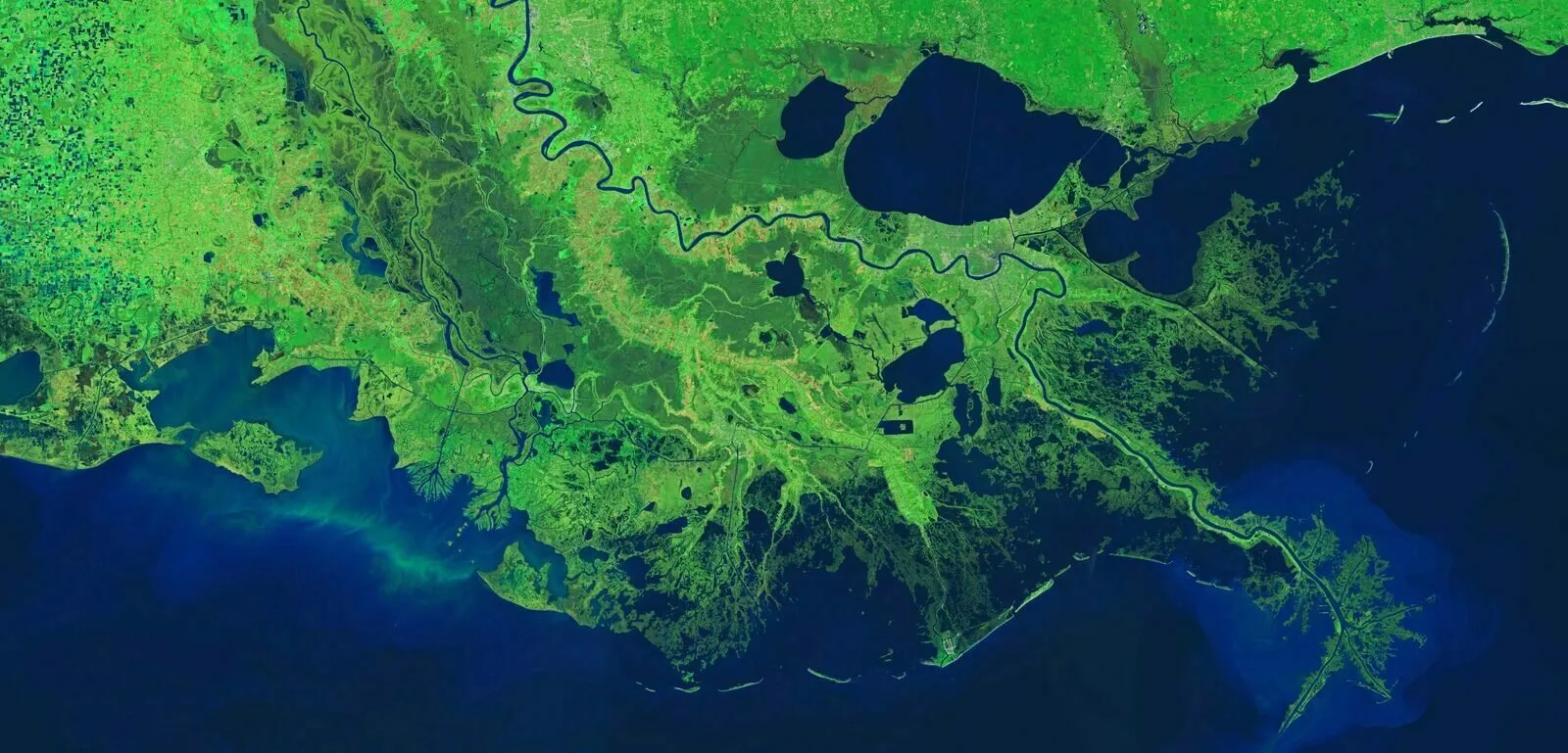 Foto: hakaimagazine.com