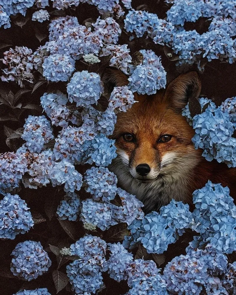 Photo: Landscape, Floristry, Guide – Photo on Our Site