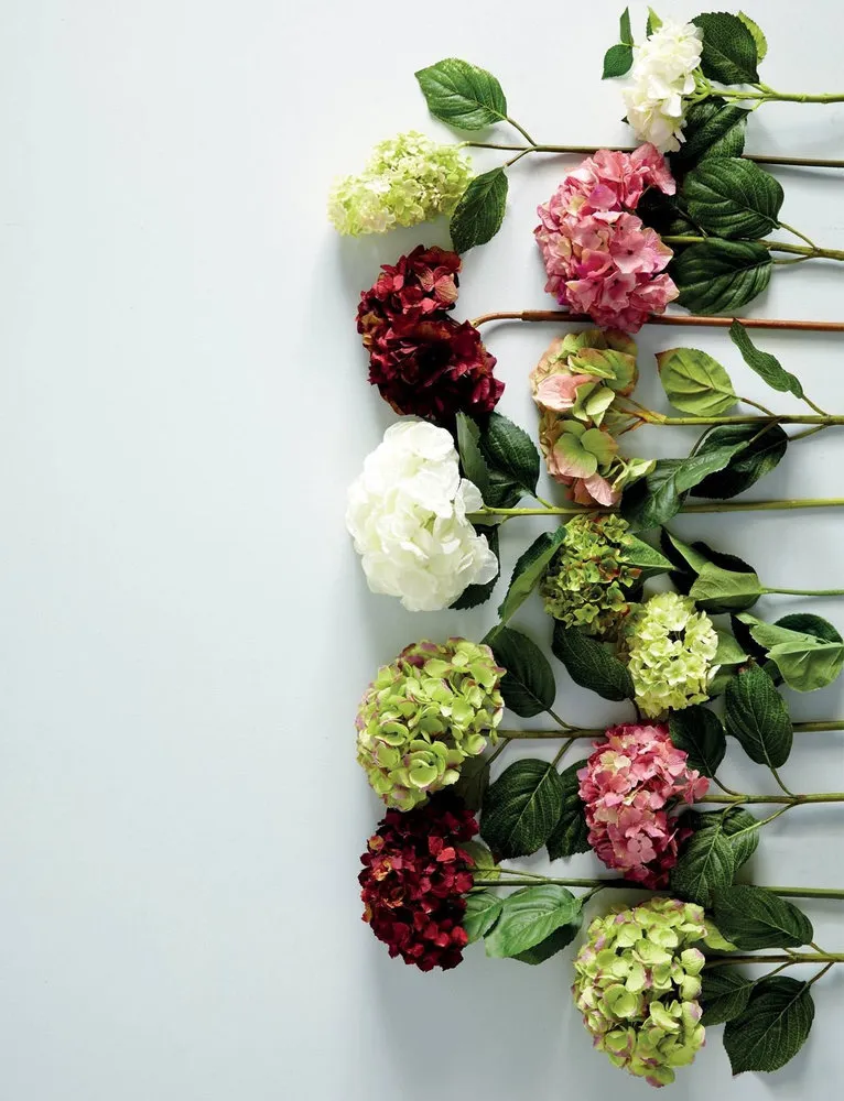 Photo: Landscape, Floristry, Guide – Photo on Our Site