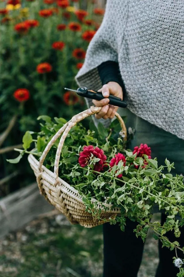 照片：普罗旺斯与乡村，北欧风格，房屋，景观，白色，蓝色，生态，人文故事 – 网站上的照片