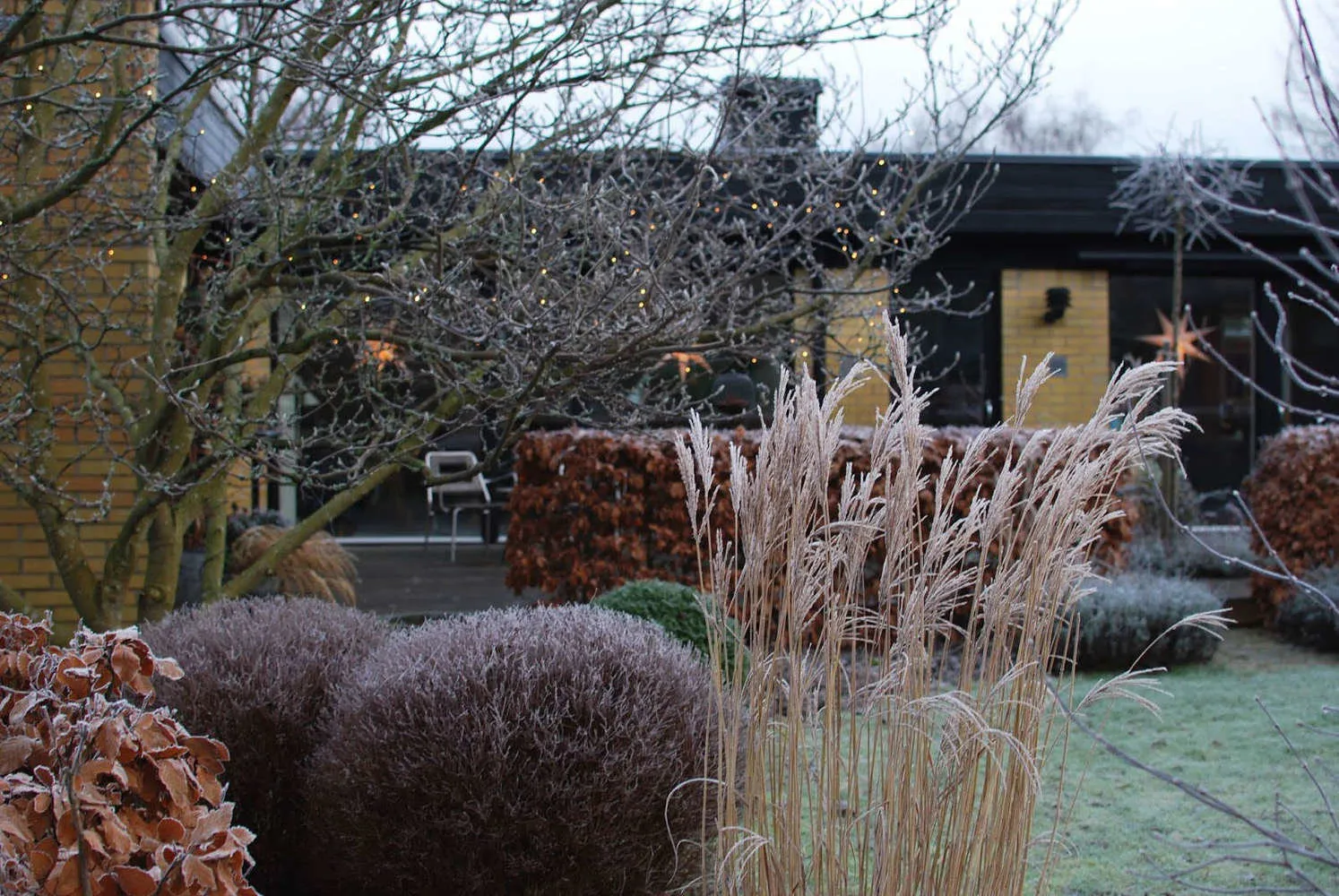 Фотографія: в стилі , Поради, дача весною, Ірина Лук'янова, роботи на саду – фото на нашому сайті