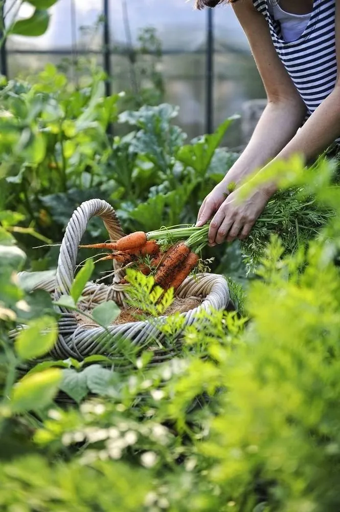 Фотографія: у стилі, Дім і дача – фото на нашому сайті