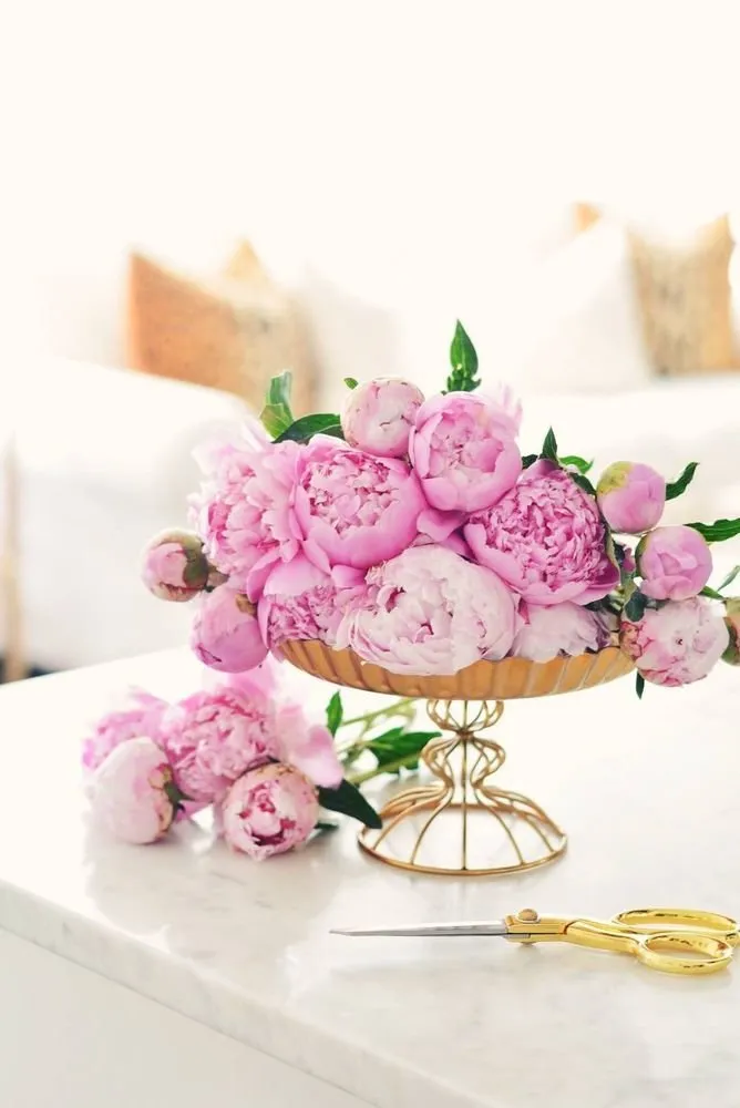 Photo: Floristry Style, Tips, Unknown Facts, Peonies, Clump Roses, Lilac, Amazing Facts – Photo on Our Site