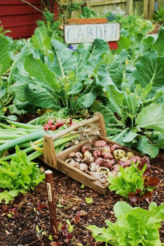 Фотографія: у стилі, Дім і дача – фото на нашому сайті