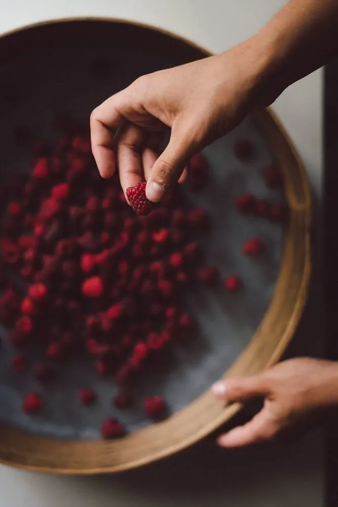 照片：风格，建议，花园，园艺工作 – 我们网站上的照片