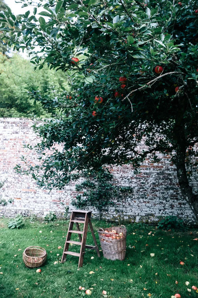 照片：风格，建议，花园，园艺工作 – 我们网站上的照片