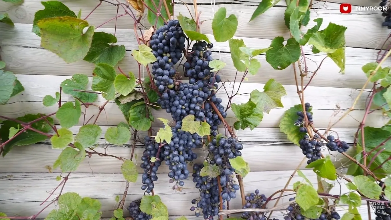 照片：风格，建议，别墅 – 我们网站上的照片