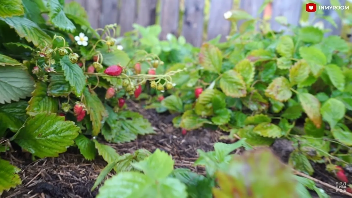 照片：风格，建议，别墅 – 我们网站上的照片