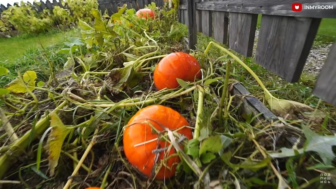 照片：风格，建议，别墅 – 我们网站上的照片