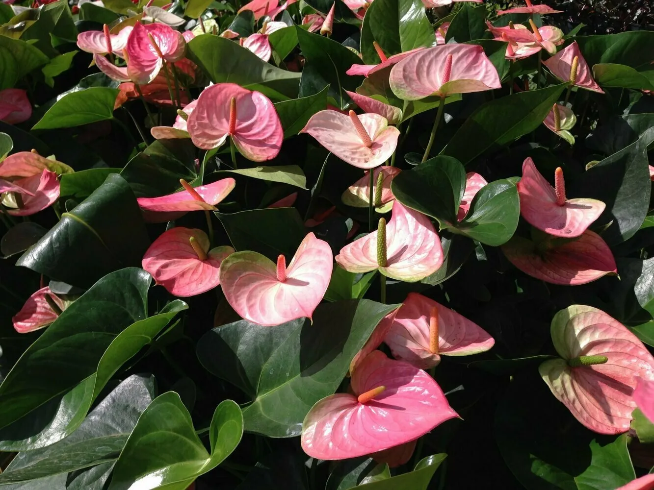 Фото: pinterest.com