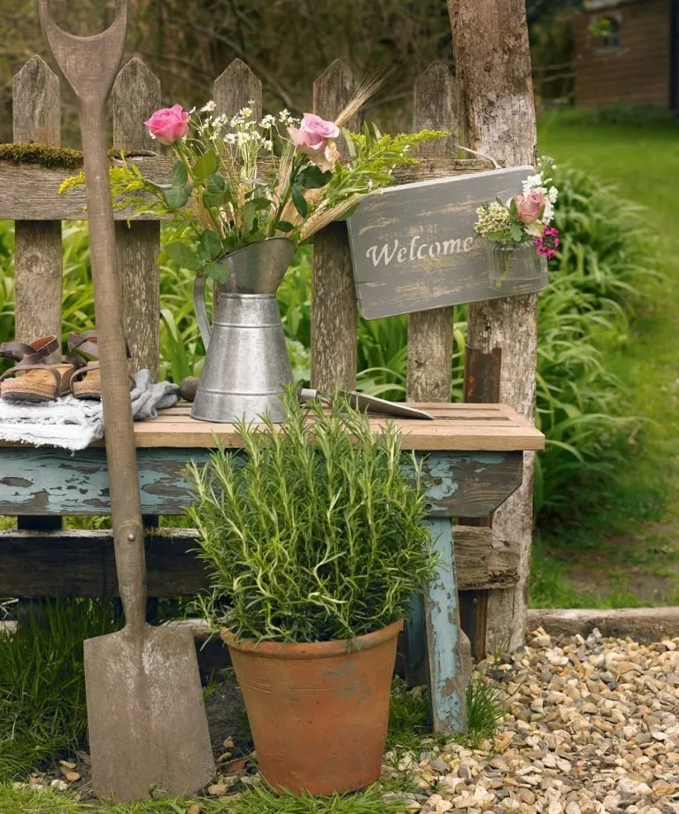 照片：风格为，家庭与别墅，伊琳娜·卢基亚诺娃，乐购，卢博芙·卡夫斯尼娜，草坪，理想草坪，别墅草坪 – 我们网站上的照片