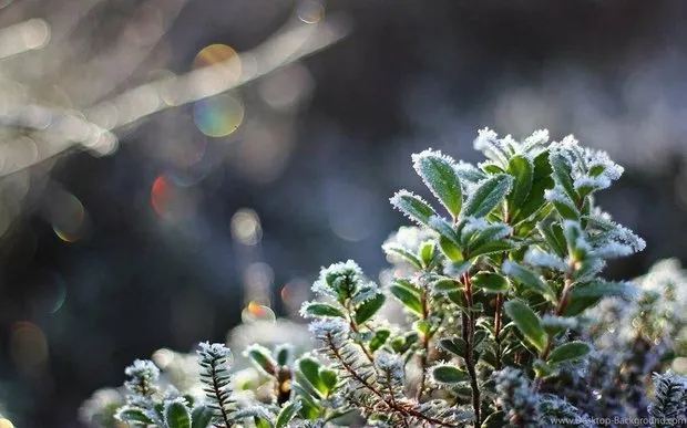 Foto: estilo, Consejos, Casa y finca – foto en nuestro sitio web