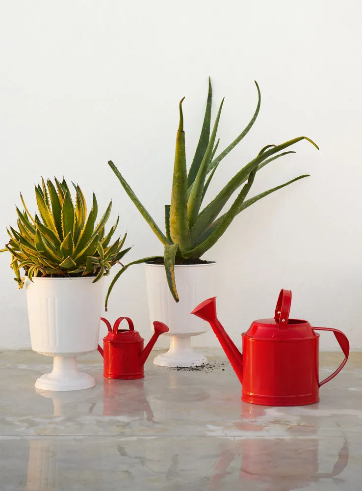 Photo: Summer style, Guide, IKEA – photo on our site