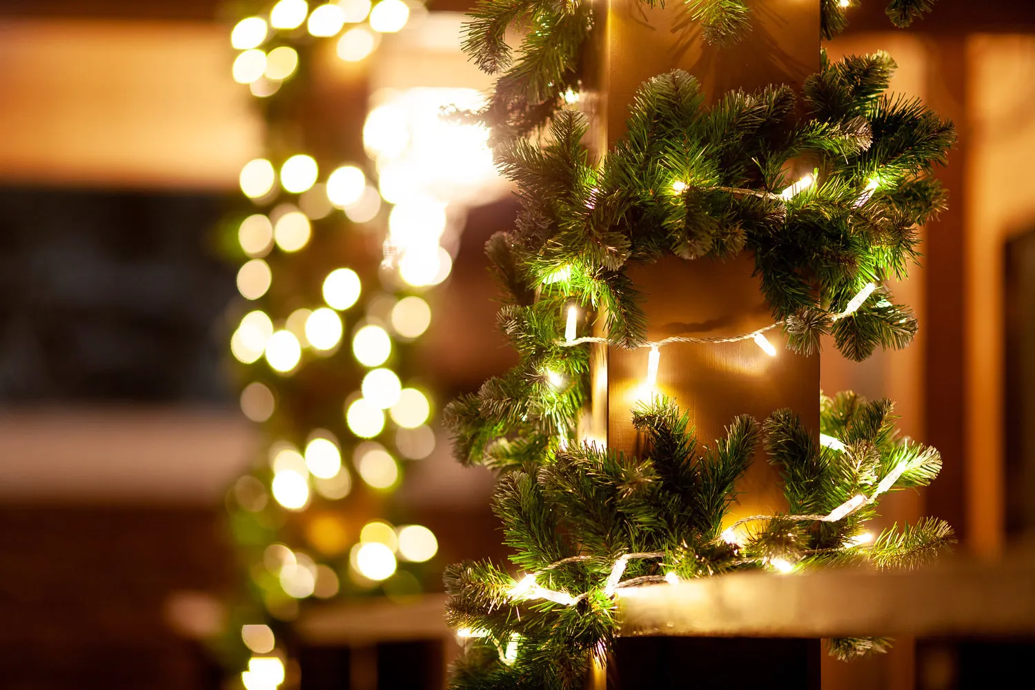 Photo: in the style of, Tips, Derevo Park – photo on our site