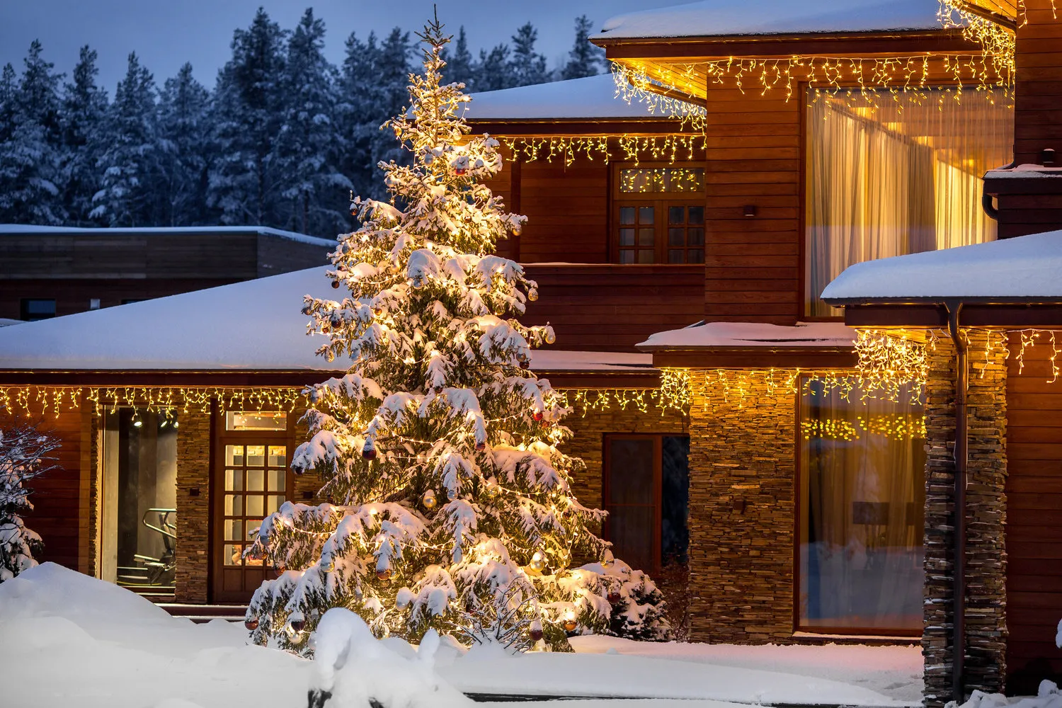 Photo: in the style of, Tips, Derevo Park – photo on our site