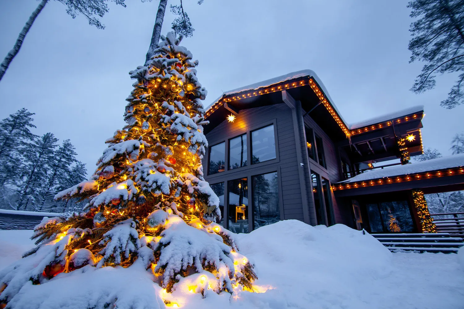 Photo: in the style of, Tips, Derevo Park – photo on our site