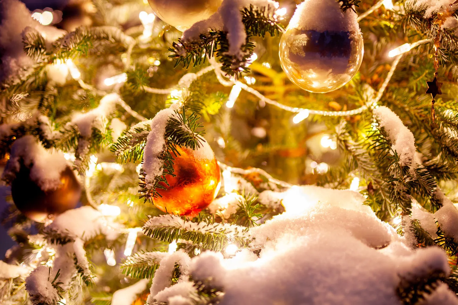 Photo: in the style of, Tips, Derevo Park – photo on our site