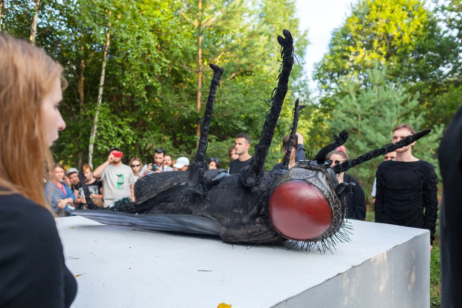 Photo: in the style of , Guide – photo on our site