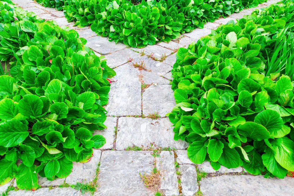 Фотография: в стиле , Ландшафт, Советы – фото на нашем сайте