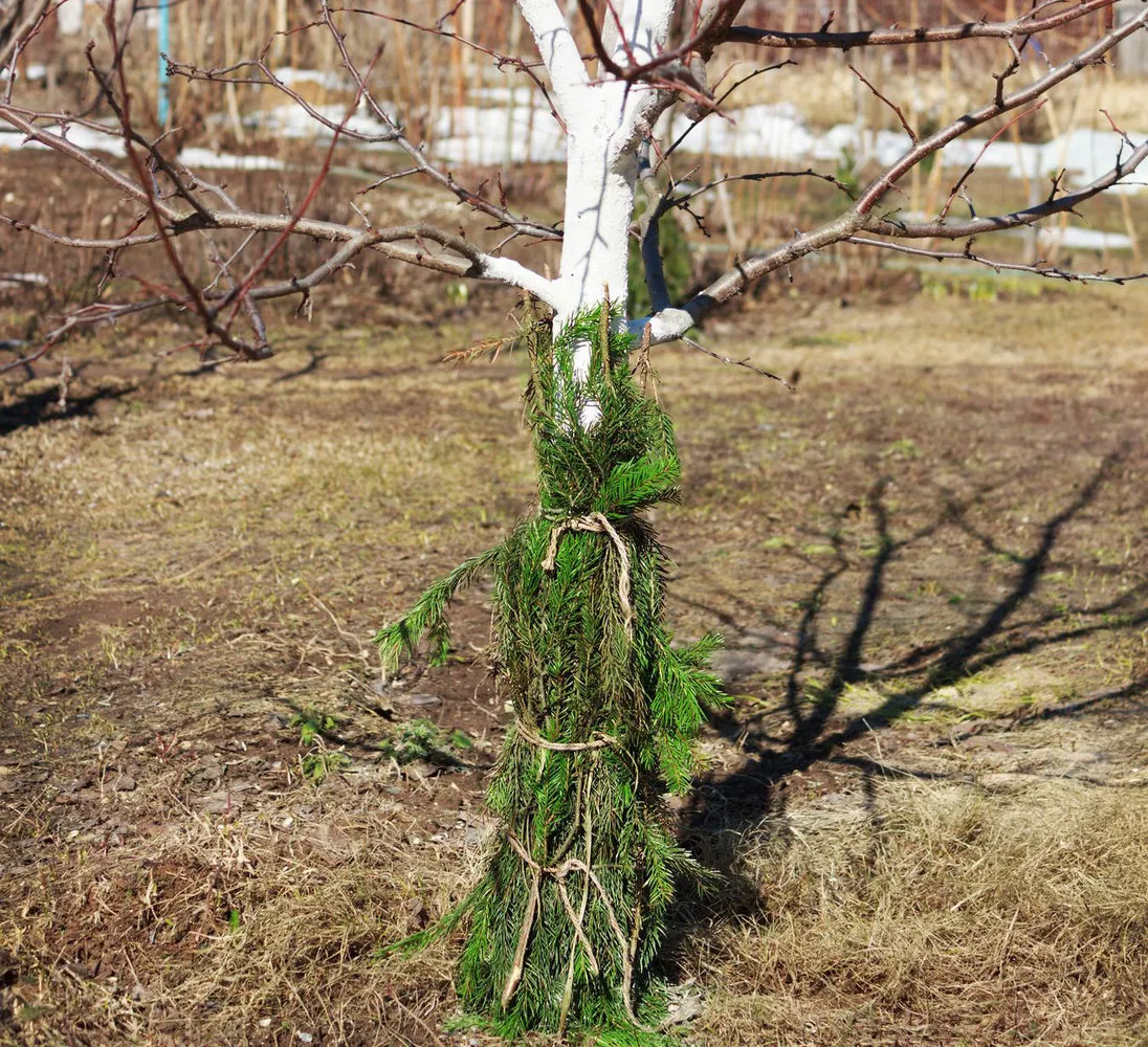 Foto: estilo paisajístico, Consejos – foto en nuestro sitio web