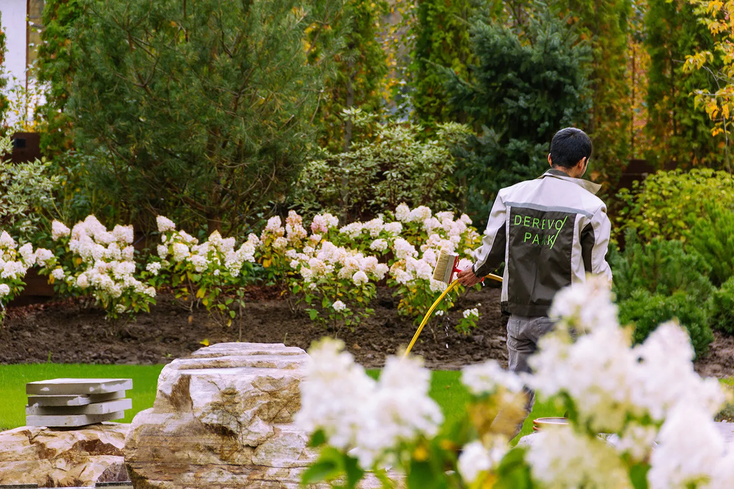 照片：Derevo Park