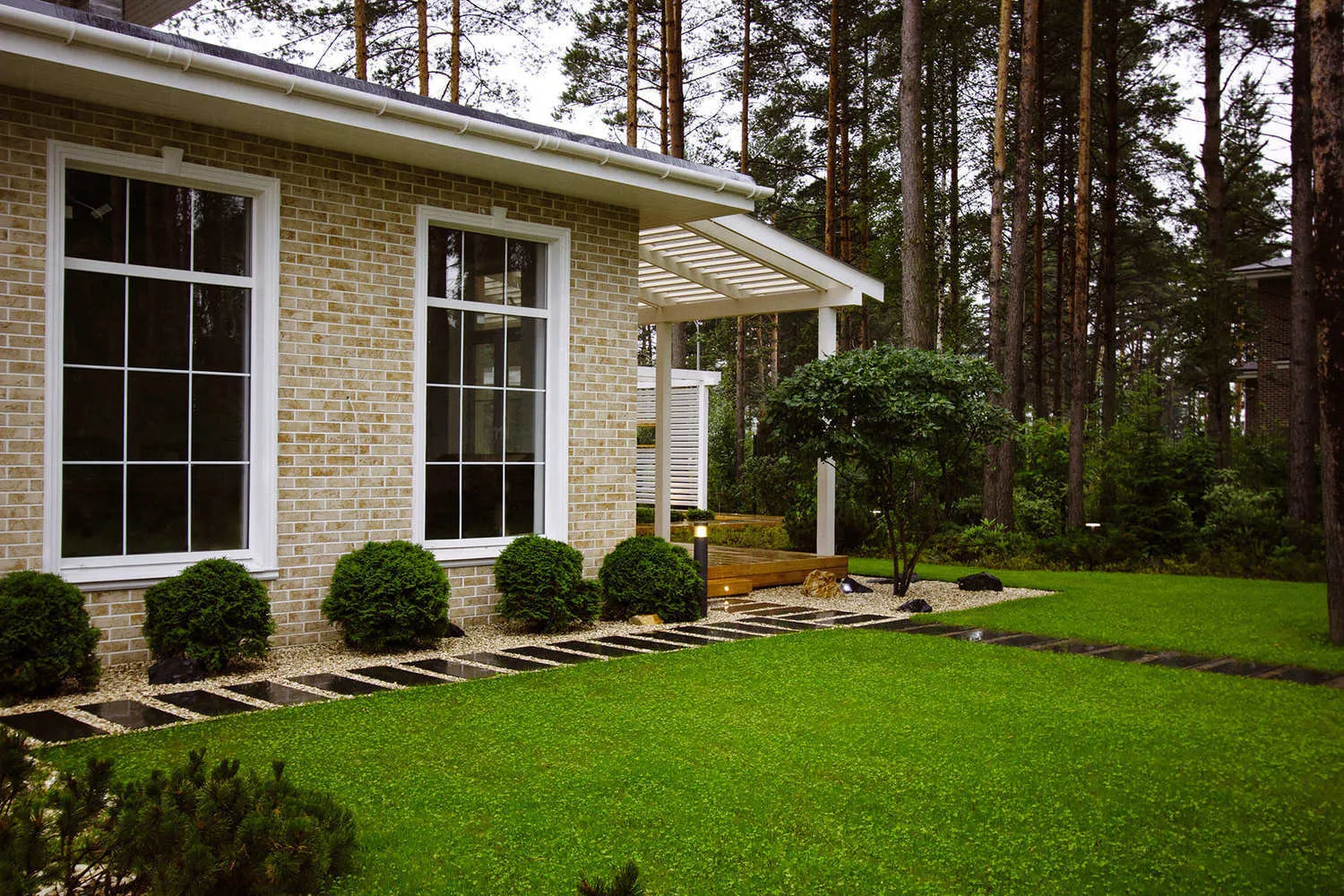 照片：Derevo Park