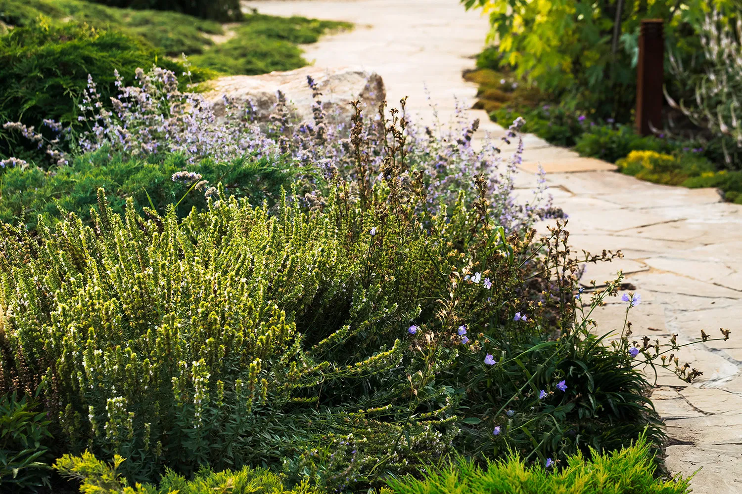 设计：Derevo Park