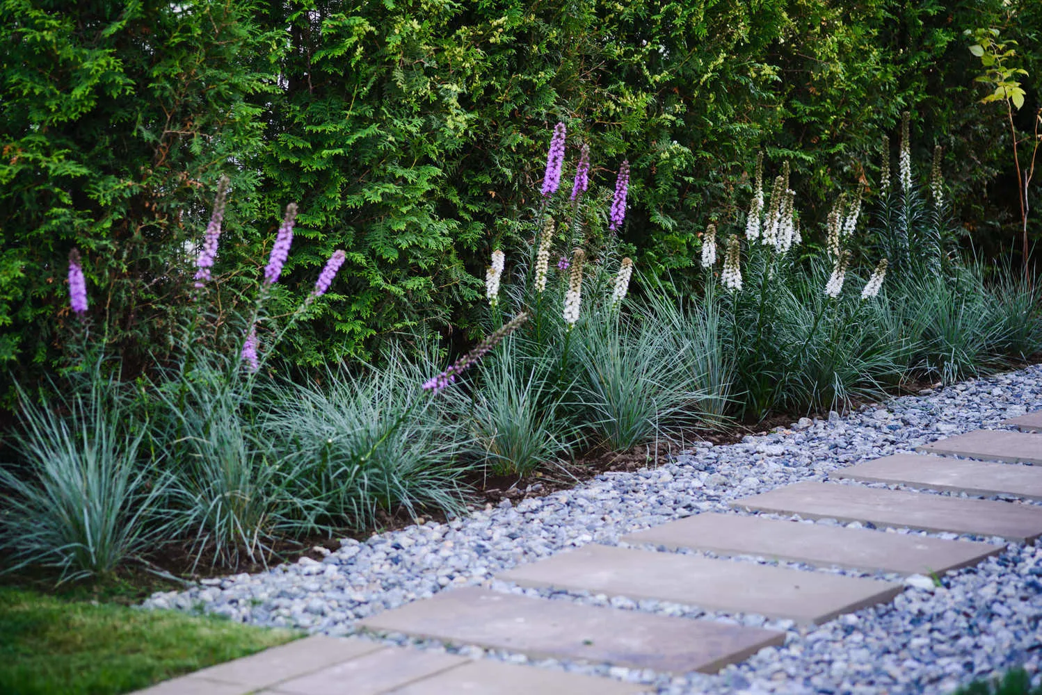 设计：Derevo Park