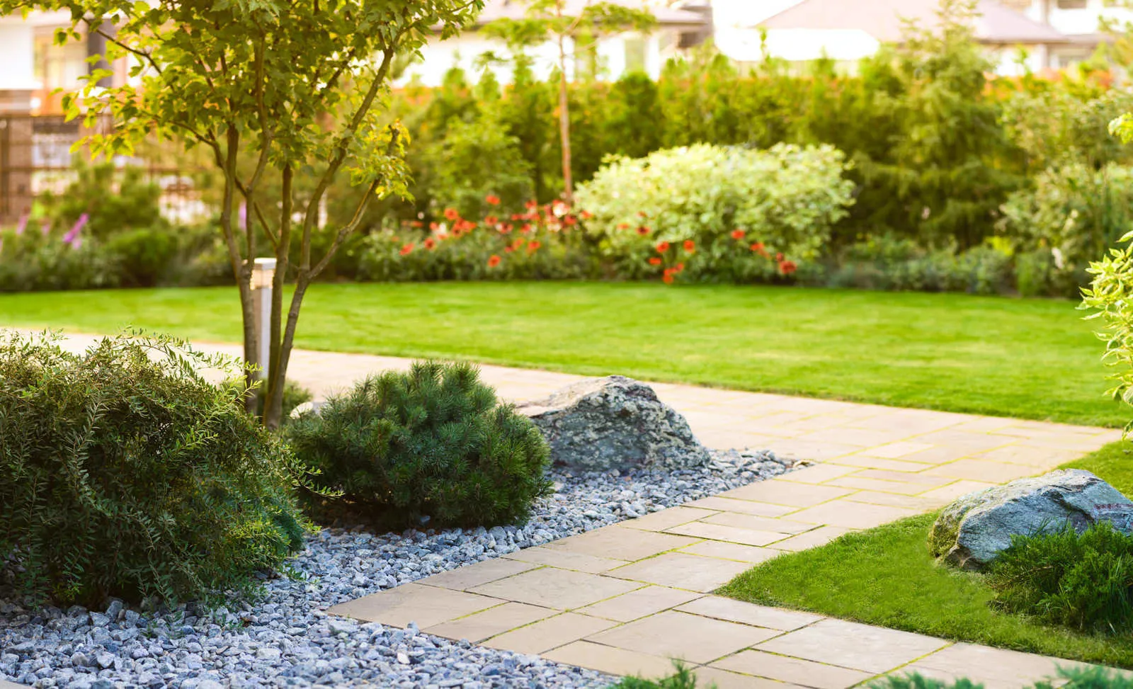 设计：Derevo Park