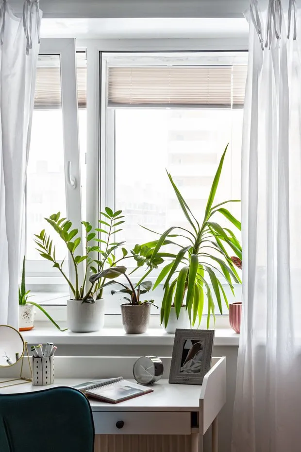 Diseño: Ульяна Синицына