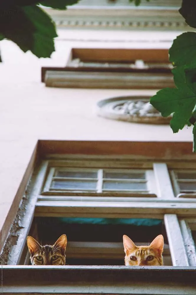 Photo: style, Tips – photo on our site