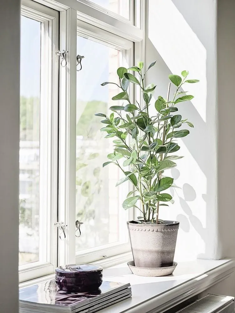 Photo: style, Tips – photo on our site