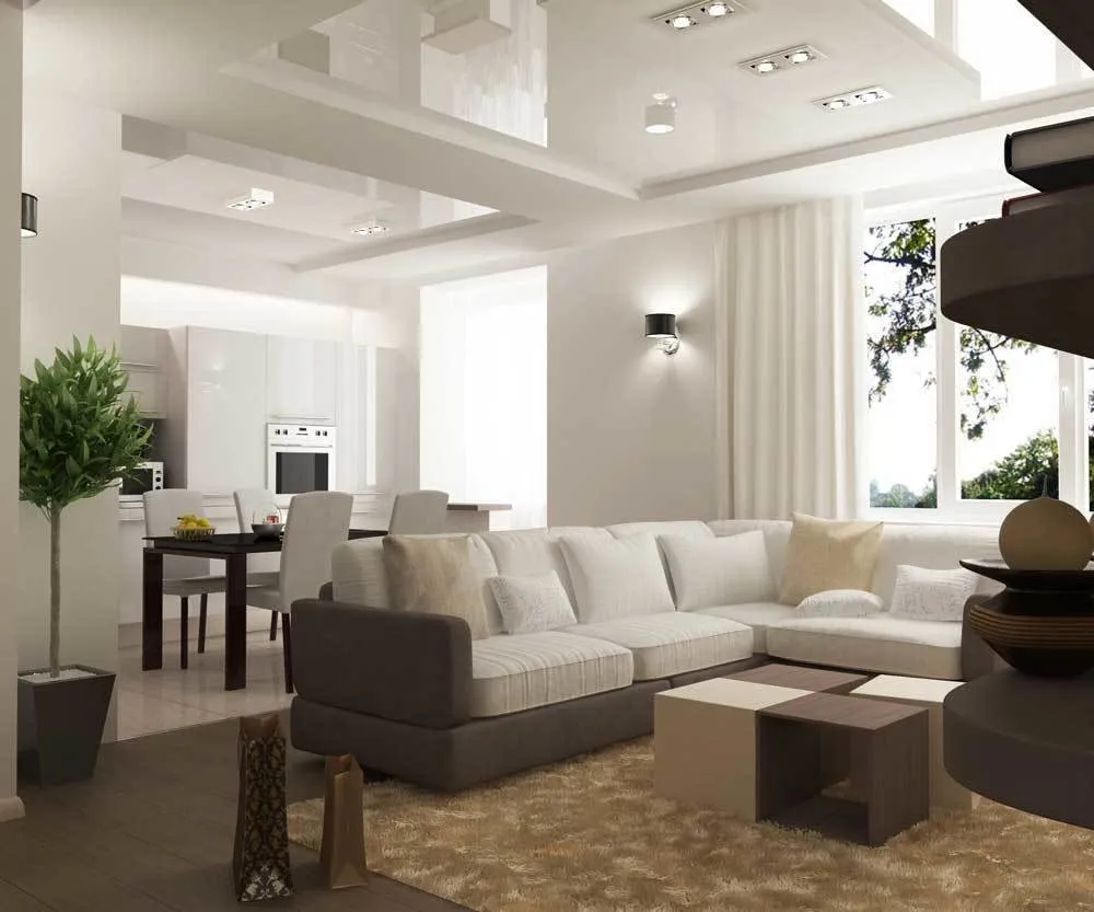 照片:现代风格客厅,技巧——我们网站上的照片