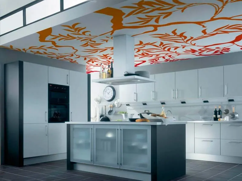 照片：现代风格厨房和餐厅，技巧——我们网站上的照片