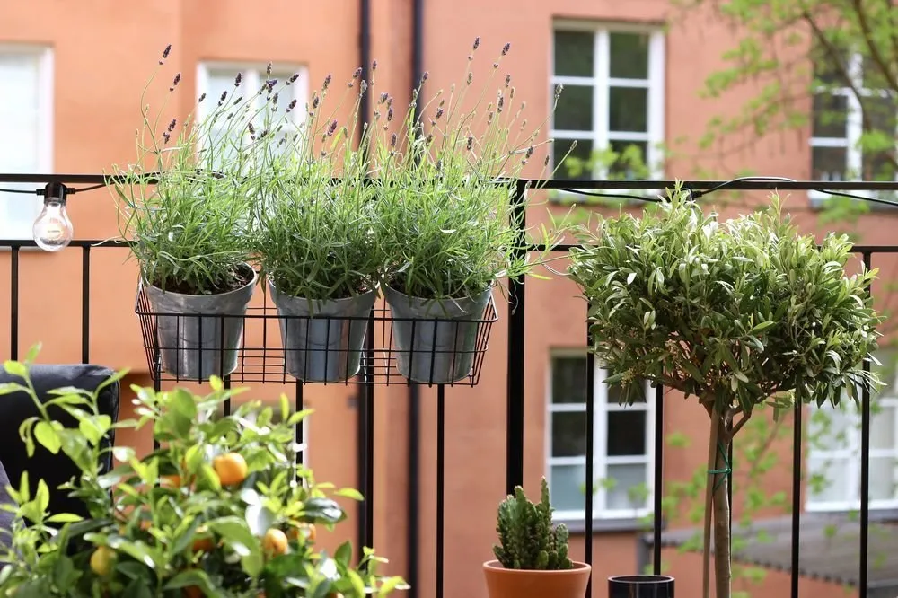 Photo: in style , Bathroom, Balcony, Tips, Irina Krascheninnikova, how to decorate a balcony, Olga Legoshina, Viktoria Vitkova, Architecture of Interiors, Olga Minullina – photos on our website