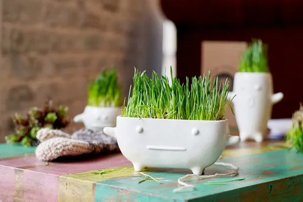 Comprar por 850 rublos