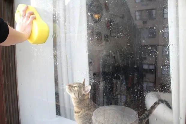 照片:斯堪的纳维亚风格阳台,建议,清洁,城市阳台 – 我们网站上的照片