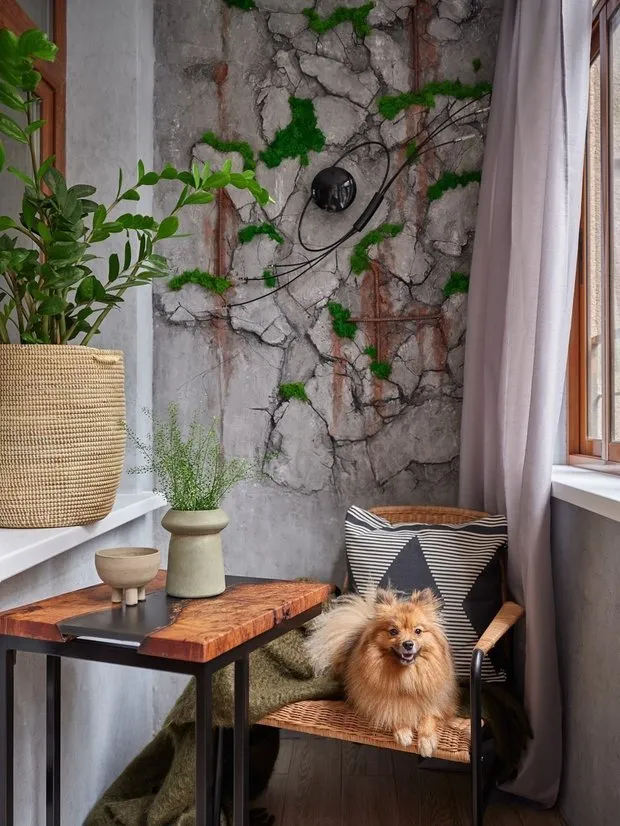 Diseño: Dina Udaltsova