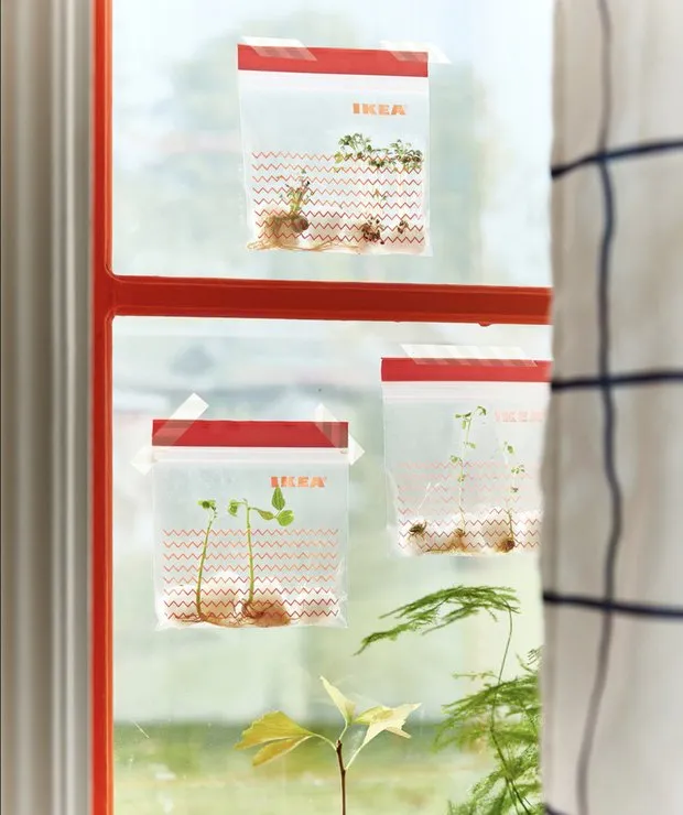 照片:阳台风格,建议,花园,小花园,阳台迷你菜园,IKEA,花园创意 – 我们网站的照片