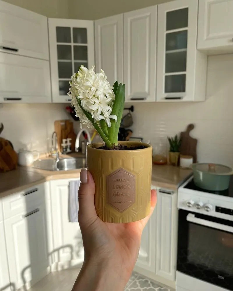 Foto: en estilo , Cocina y comedor, Renovación en la práctica – fotos en nuestro sitio web